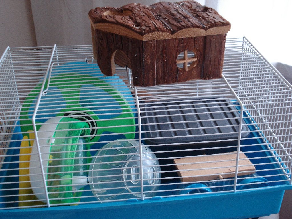 HAMSTER KOOI, Minder dan 60 cm, Minder dan 75 cm, Ophalen of Verzenden, Hok