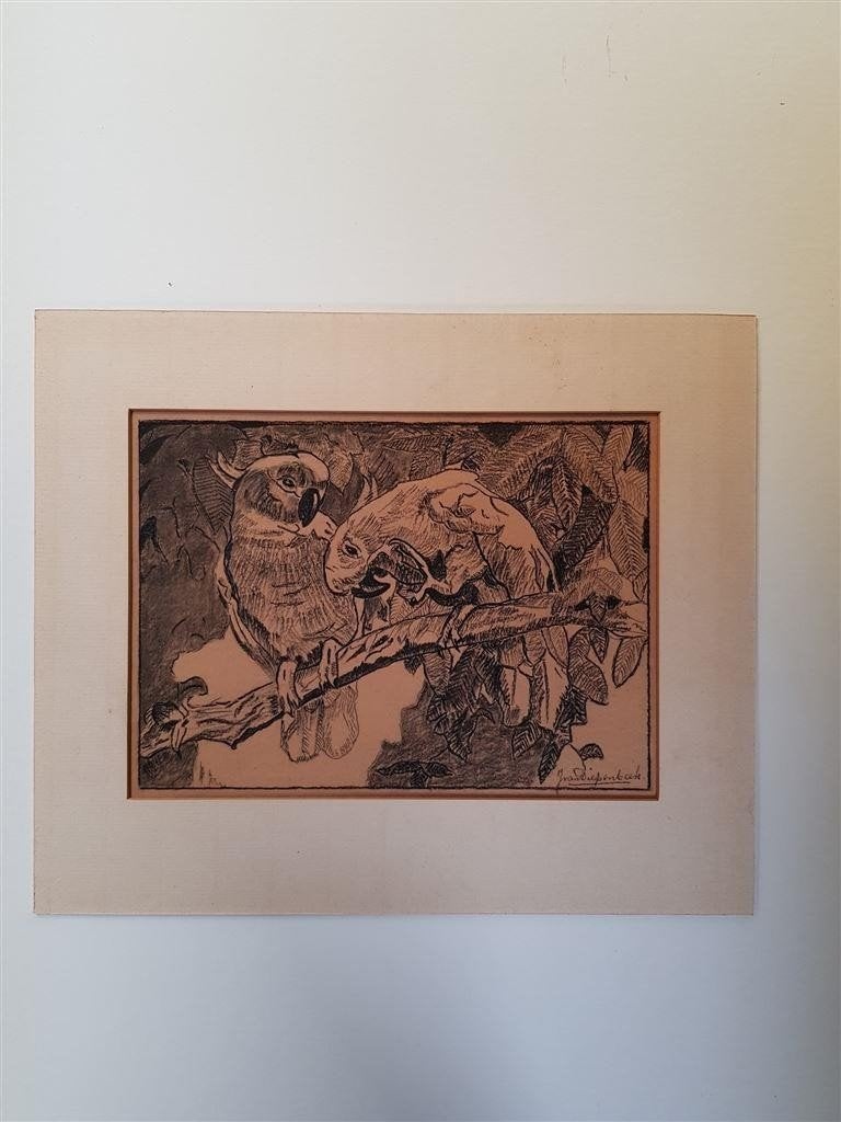 J. van Dieperink, tekening kakatoes, gesigneerd., Ophalen of Verzenden