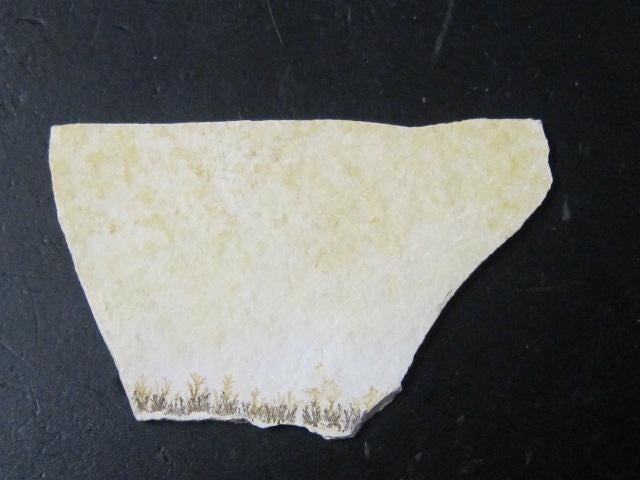 Dendriet in kalksteen 2, Ophalen of Verzenden, Mineraal