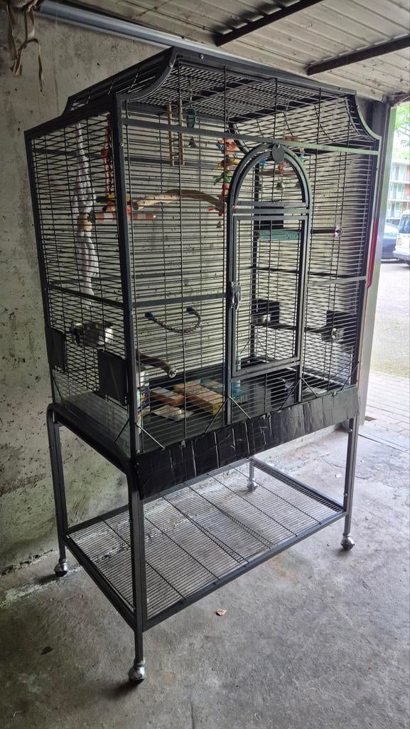 Montana Madeira 3 Antiek compleet met toebehoren, Dieren en Toebehoren, Vogels | Hokken en Kooien, Ophalen, Gebruikt, Metaal, Vogelkooi