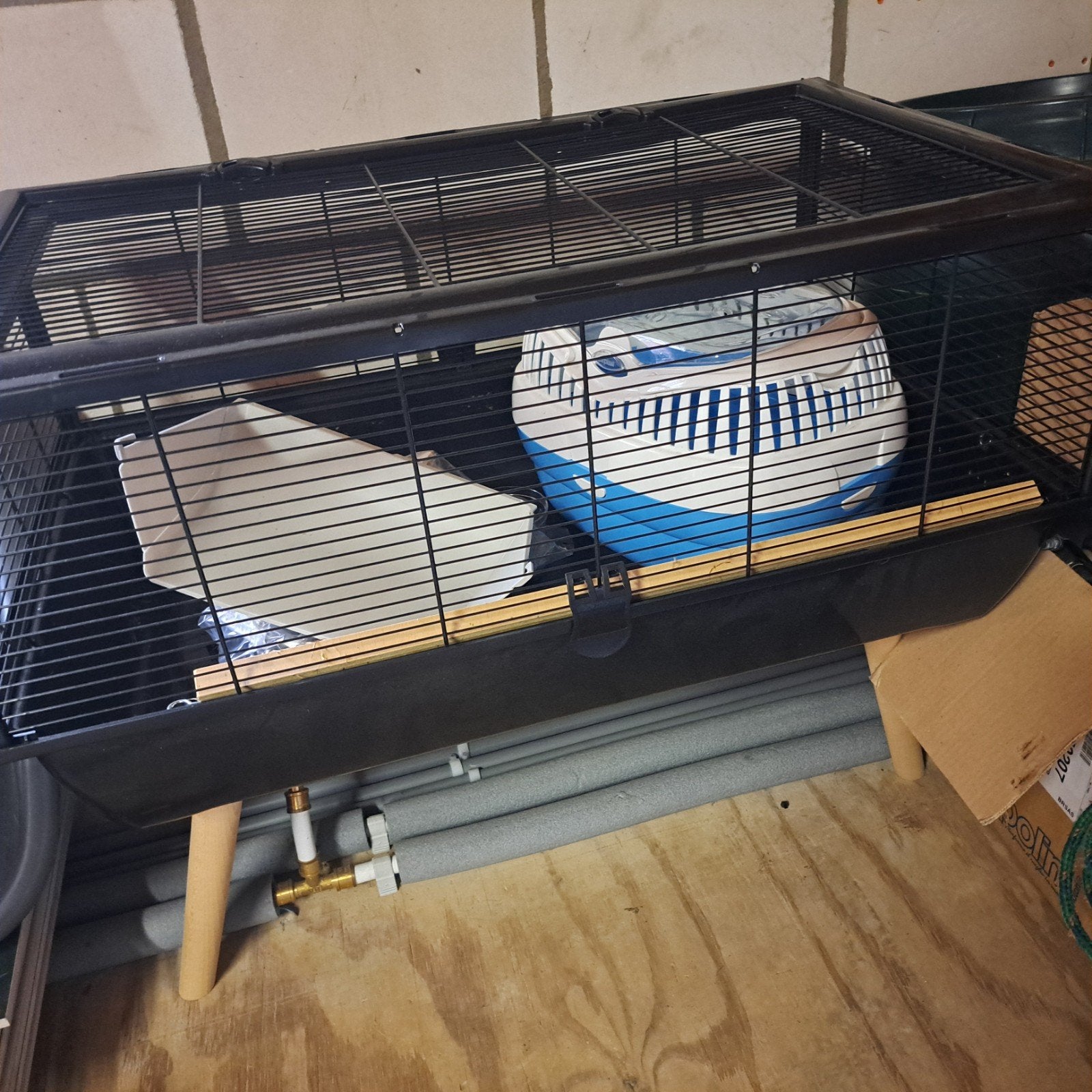 Cavia hok, zgan!, Kooi, 110 cm of meer, Zo goed als nieuw, Cavia