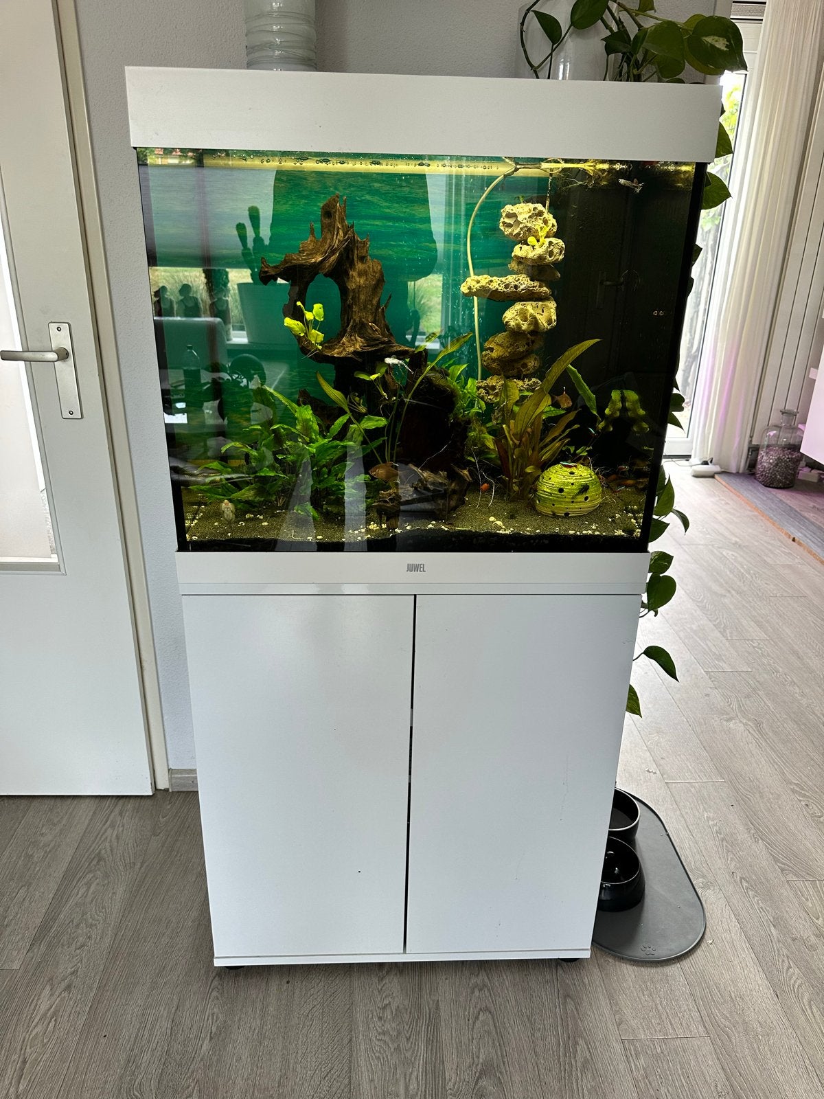 Aquarium Juwel Lido 200 met vissen, Ophalen, Pomp, Juwel, Gevuld zoetwateraquarium