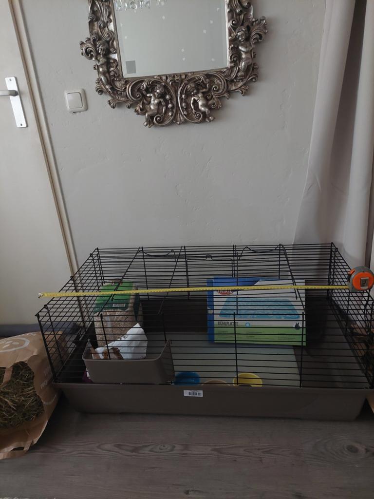 Cavia Konijnen kooi met vele extra's, Kooi, 110 cm of meer, Zo goed als nieuw, Cavia