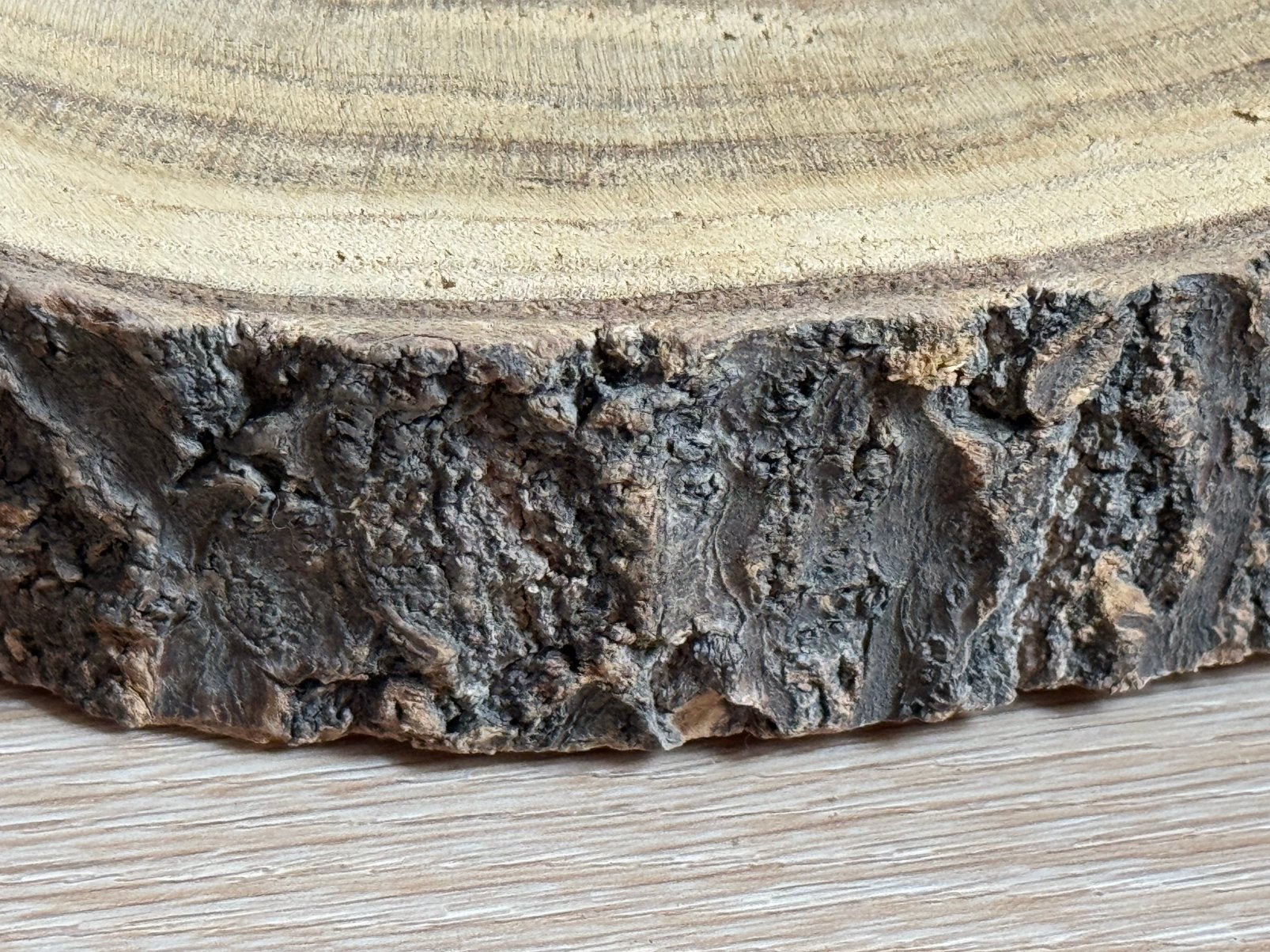 Houten boomstam schijf eventueel als dienblad, Huis en Inrichting, Ophalen of Verzenden, Zo goed als nieuw, Hout