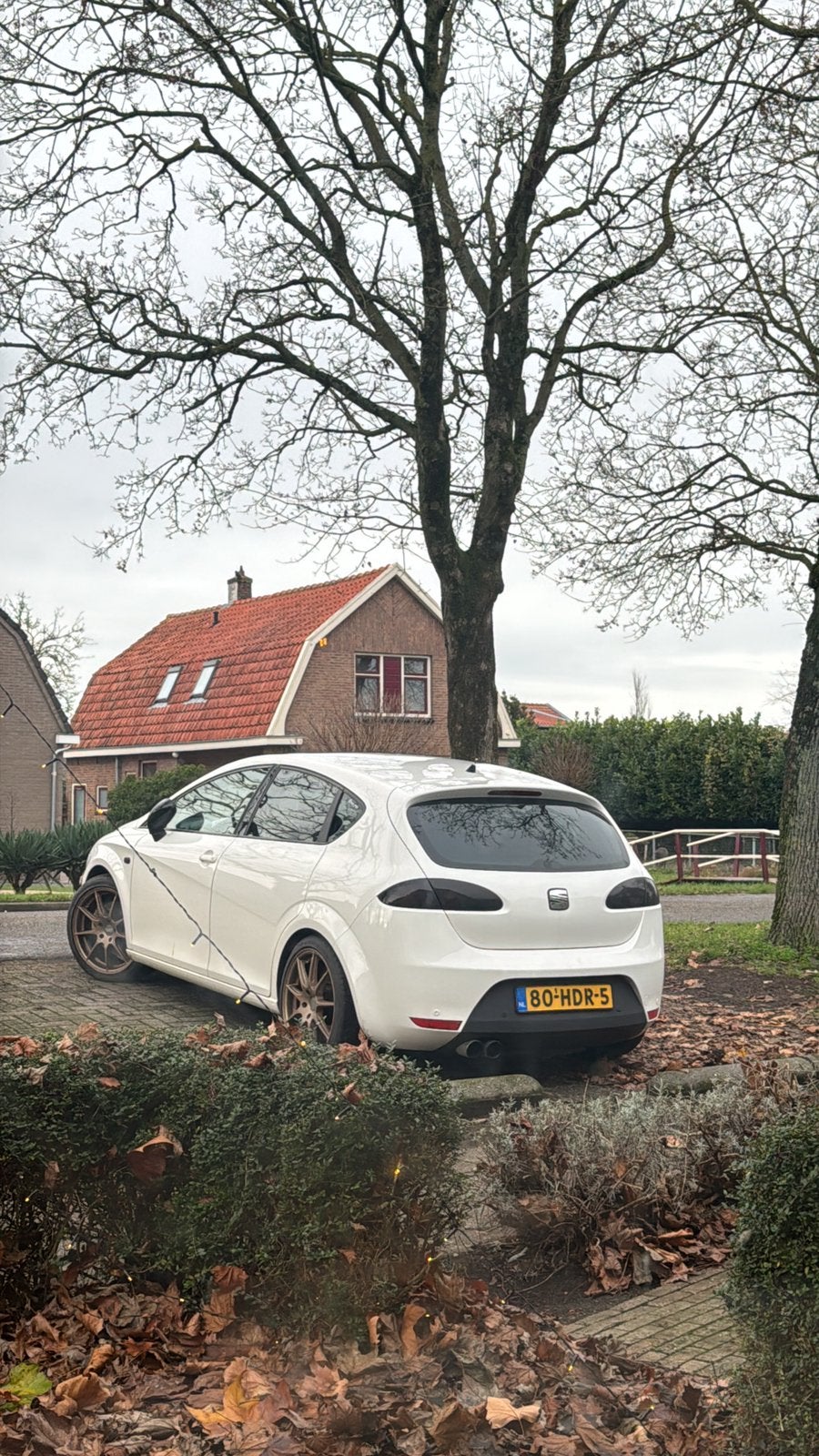 Seat Leon FR 2.0 320PK, Auto-onderdelen, Ophalen