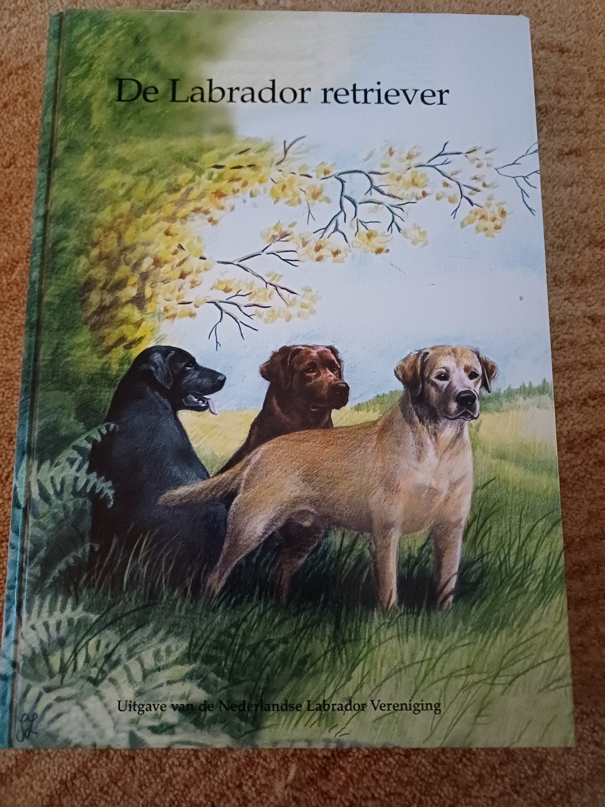 De Labrador Retriever - Nederlandse Labrador Vereniging, Ophalen of Verzenden, Zo goed als nieuw, Honden, Nederlandse Labrador Vereniging