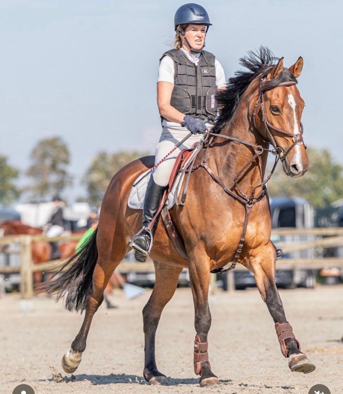 Veelzijdige KWPN ruin (Uphill x Facet), Dieren en Toebehoren, Met stamboom, Ruin, M, Dressuurpaard