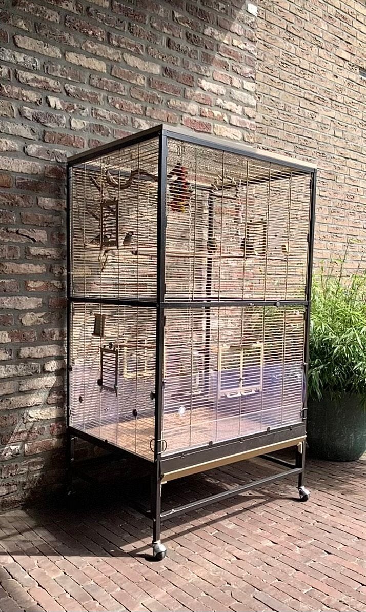 Voliere met vogels, Ophalen, Zo goed als nieuw, Volière