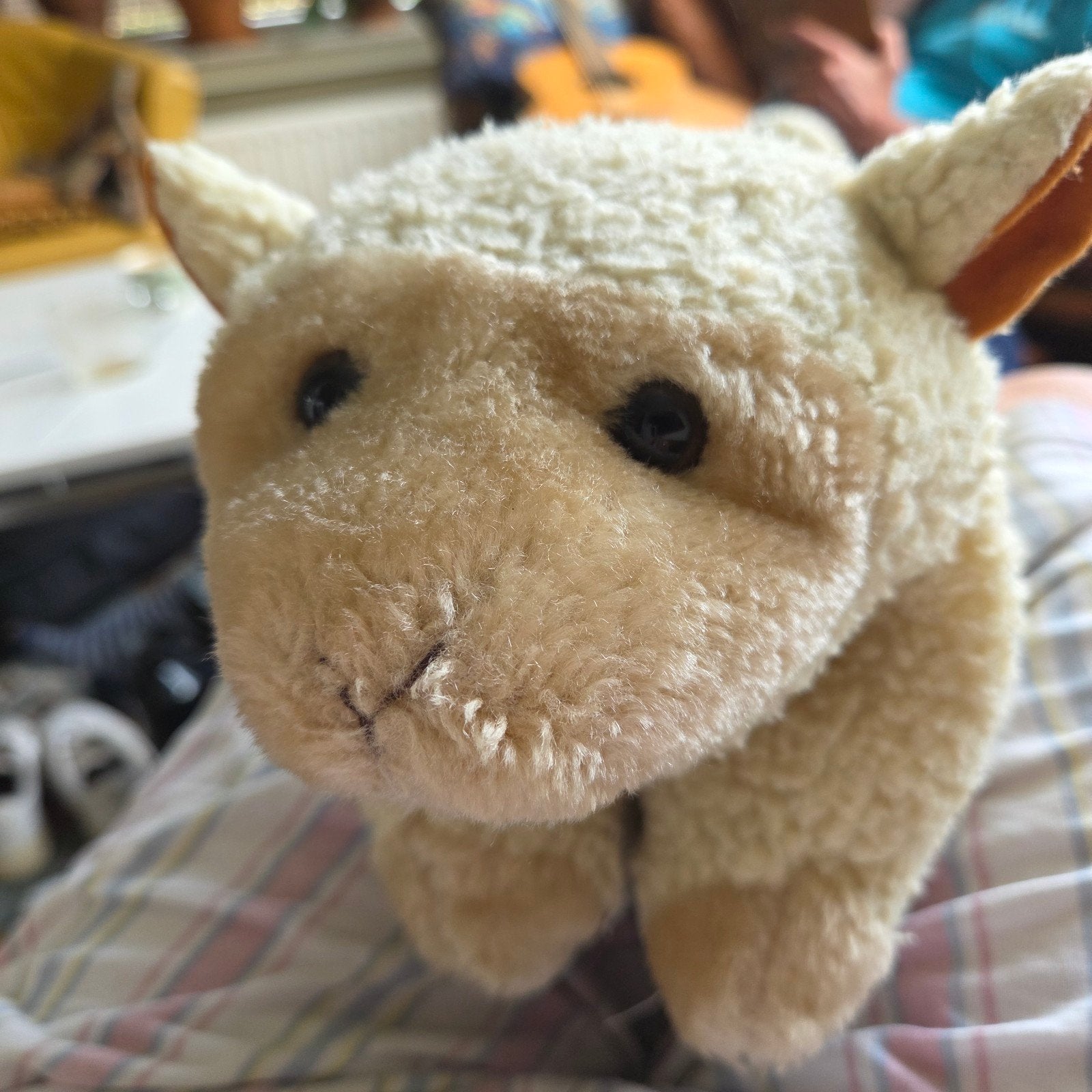 GEZOCHT: Knuffelkussen Schaap - Beige/Wit met Glazen Ogen, Ophalen of Verzenden, Gebruikt, Beige, Overige typen