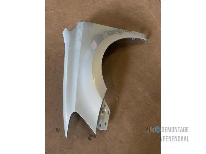 Scherm links-voor van een Volkswagen Polo (LD5M), -, Volkswagen, -, Nieuw