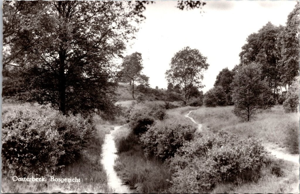 Oosterbeek - 12 oude ansichtkaarten Mariëndaal en bosgezicht, Verzenden, 1960 tot 1980, Gelopen, Gelderland