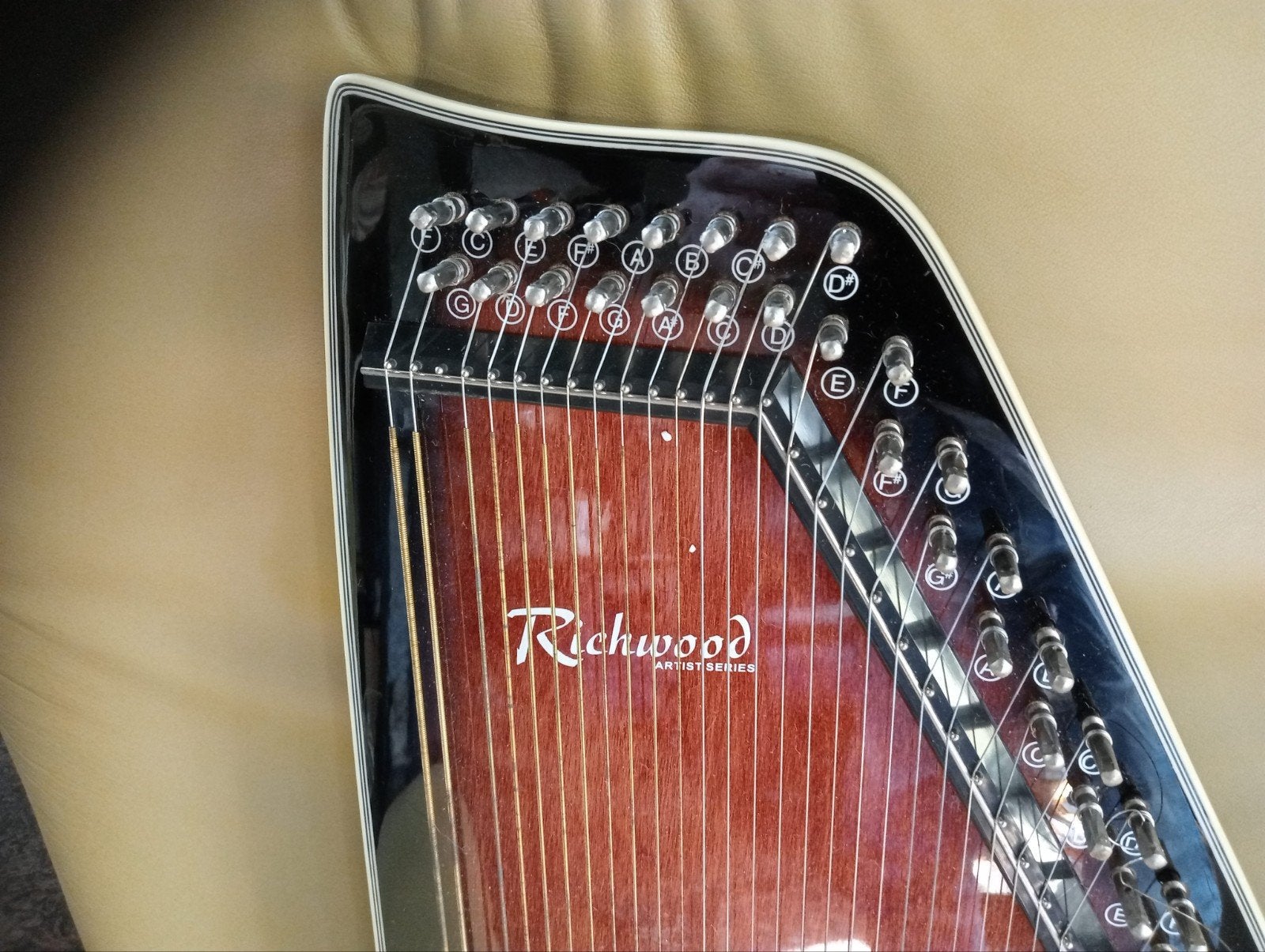Auto harp, Muziek en Instrumenten, Ophalen, Gebruikt