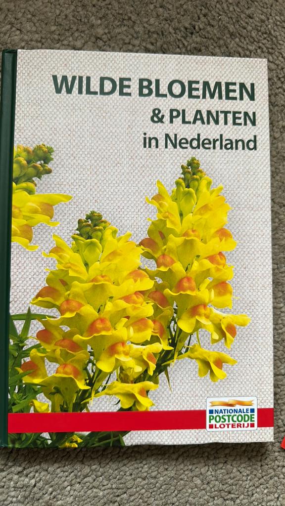 Wilde bloemen en planten in nederland postcide loterij, Ophalen of Verzenden, Bloemen, Planten en Bomen