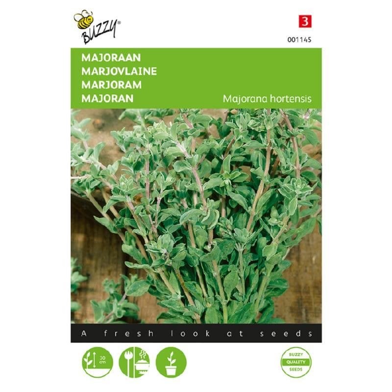 Buzzy Seeds Majoraan kruidenzaden - nieuw, Ophalen of Verzenden, Voorjaar, Volle zon, Zaad