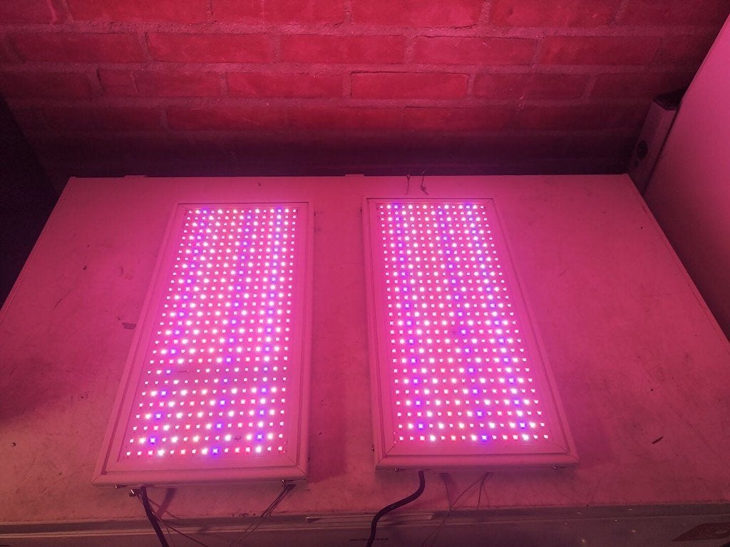 groeipaneel 50w full spectrum, Ophalen of Verzenden, Gebruikt, Kweeklamp