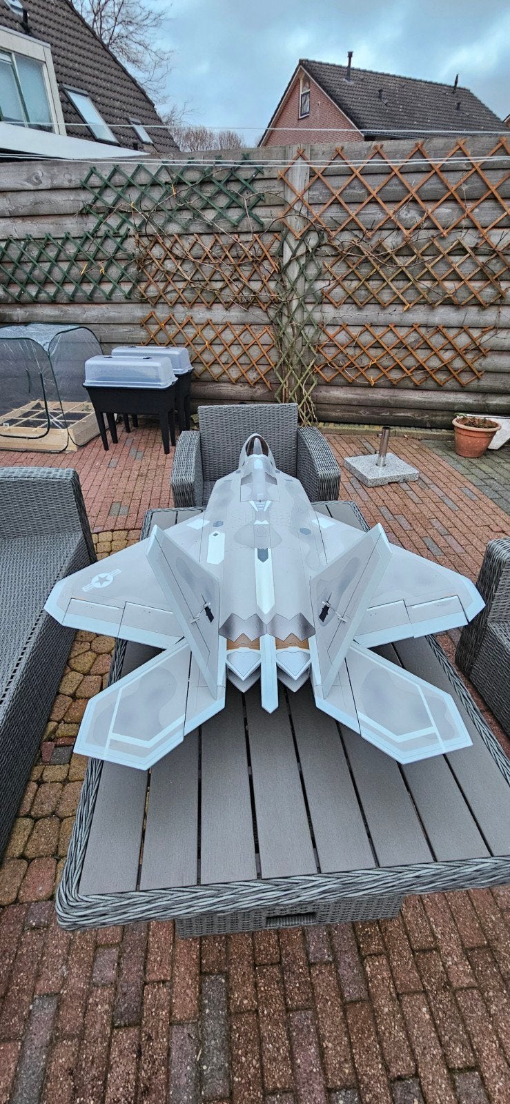 Freewing F-22 Raptor 90mm PNP EDF Jet, Hobby en Vrije tijd, Modelbouw | Radiografisch | Vliegtuigen, Ophalen