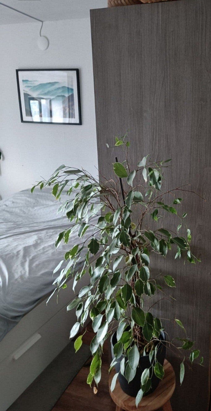 IKEA Kledingkast Grijs met Houtnerf - 160x200x59 cm, Huis en Inrichting, Ophalen, Met deur(en), Gebruikt, 200 cm of meer