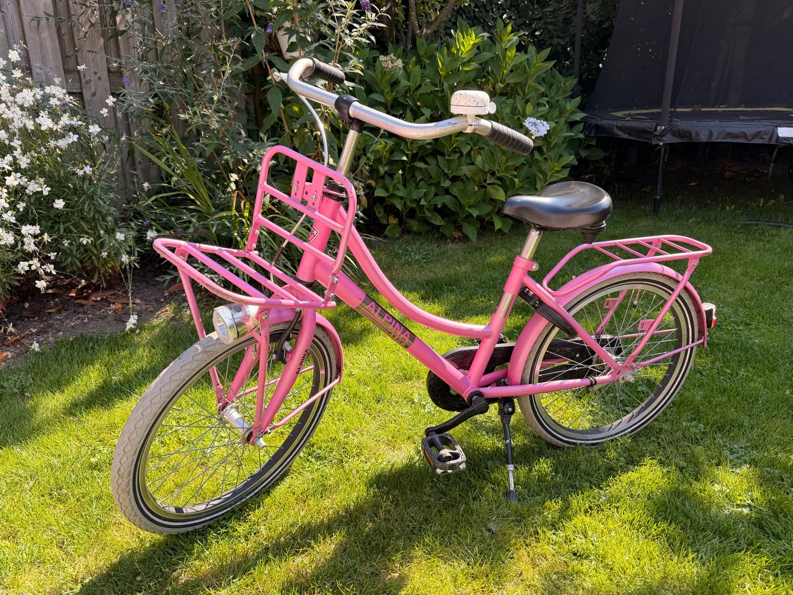 Roze alpina cargo meisjesfiets 20 inch met terugtraprem, Fietsen en Brommers, Ophalen, Terugtraprem, Gebruikt, Handrem