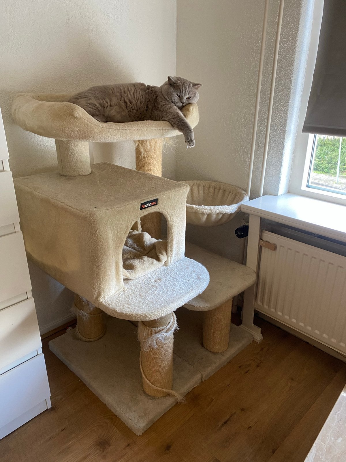Grote krabpaal voor katten – geschikt voor 3 katten, Ophalen