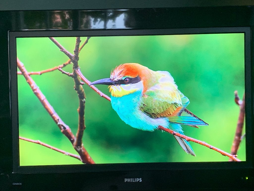 PHILPS TV 32PF9731D/D10 met draaibeugel en afstandsbediening, Ophalen, Philips, Gebruikt, 50 Hz