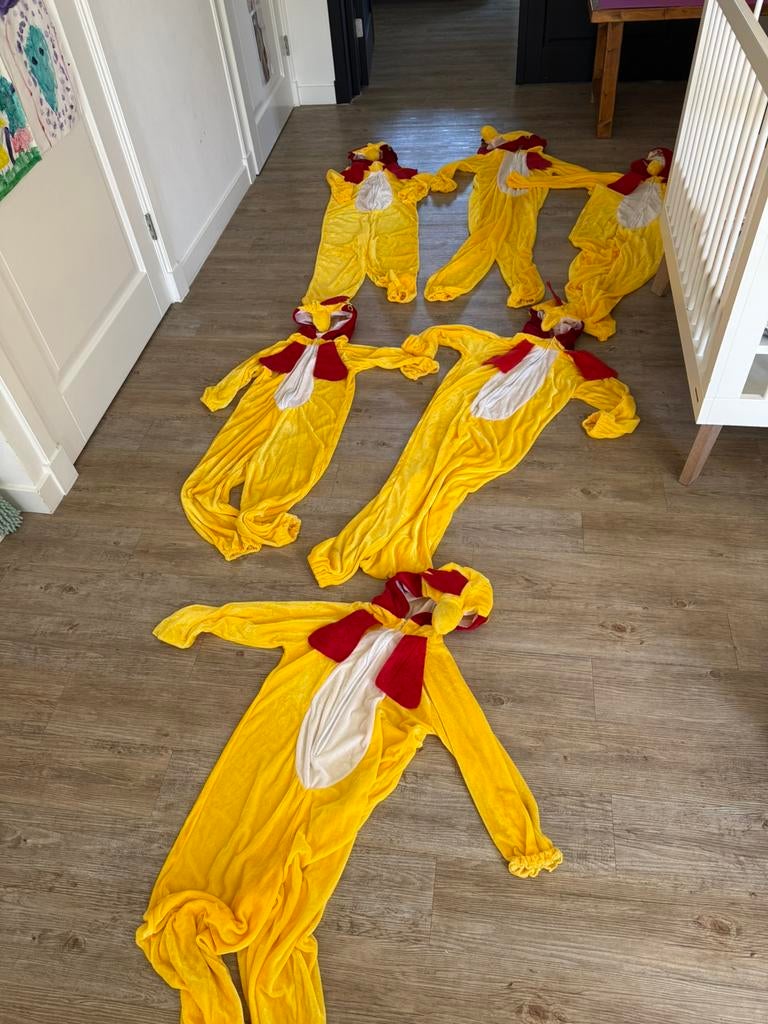 Kippen kostuums, Ophalen of Verzenden, Zo goed als nieuw, Kostuum, Carnaval
