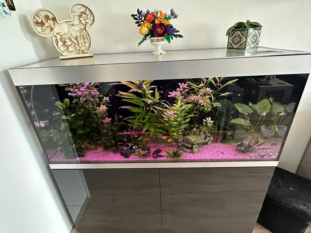 Mooi aquarium merk oase higline 400 complet met als erbij, Dieren en Toebehoren, Gebruikt, Oase, Ophalen of Verzenden, Gevuld zoetwateraquarium