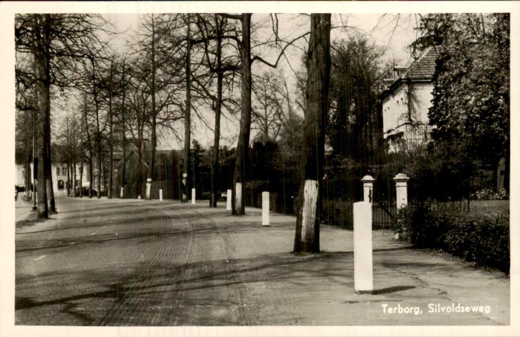 Terborg - Silvoldseweg - Straatzicht, Ophalen of Verzenden, 1920 tot 1940, Ongelopen, Gelderland