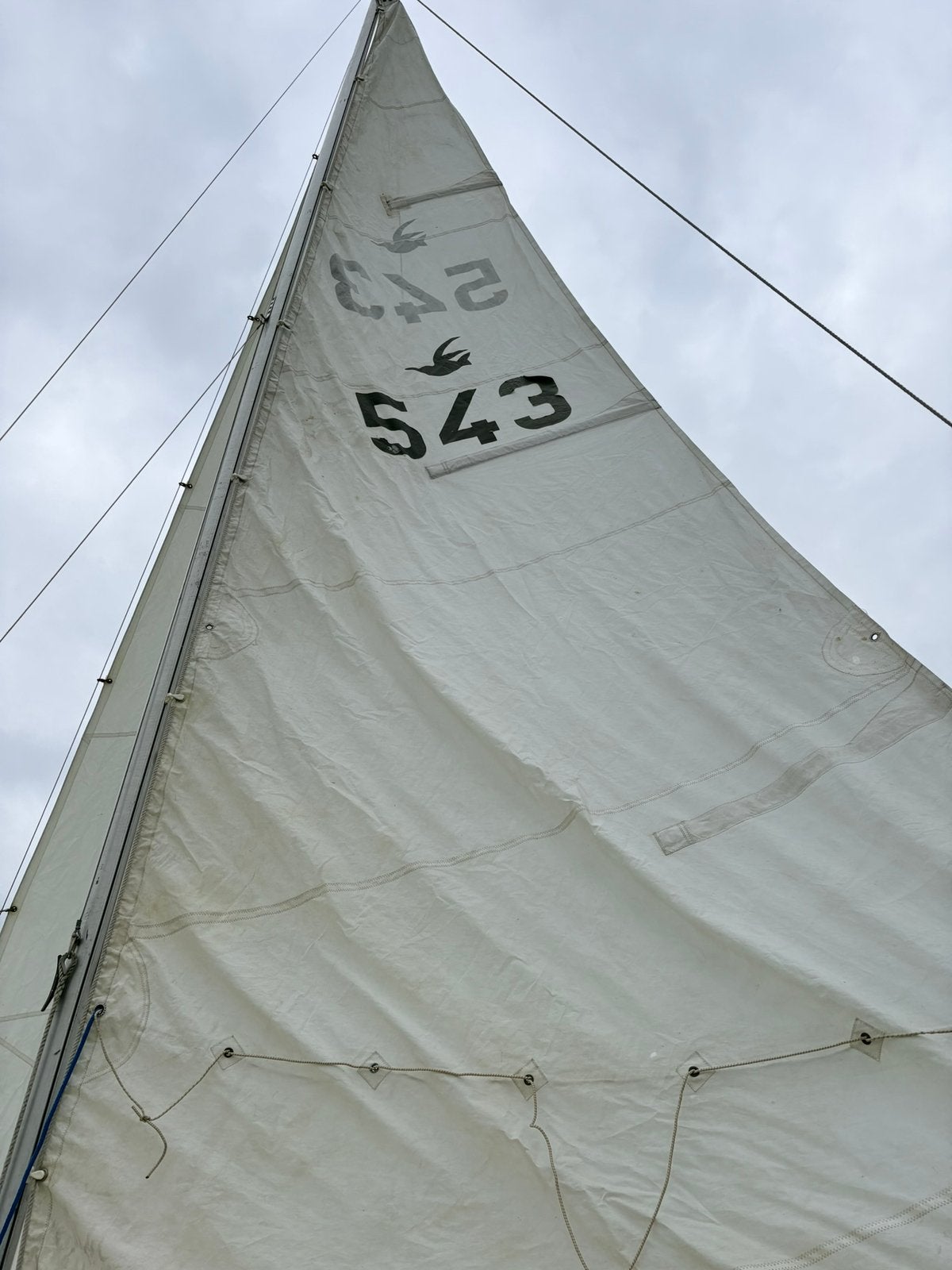 Gratis op te halen goed onderhouden Kolibri zeiljacht 560, Watersport en Boten, Ophalen of Verzenden, Zo goed als nieuw, Minder dan 15 m²