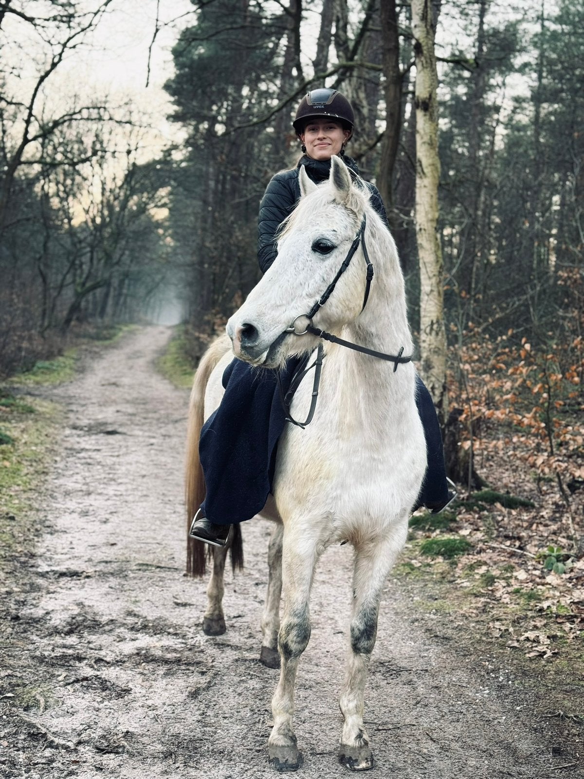 Verzorger/leaser gezocht voor arabier kruising, Ophalen