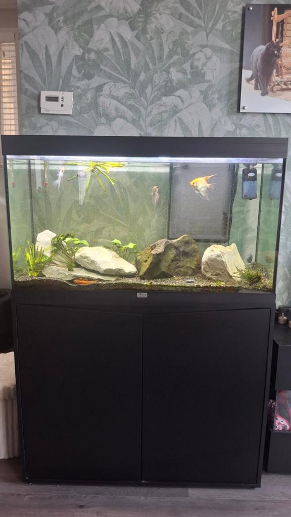 Aquarium Aquatlantis, Ophalen, Leeg aquarium