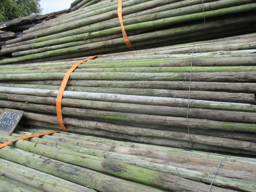 boompalen  lang 250  cm   dik  5 c m, Tuin en Terras, Ophalen, Gebruikt, 250 cm of meer, Balken