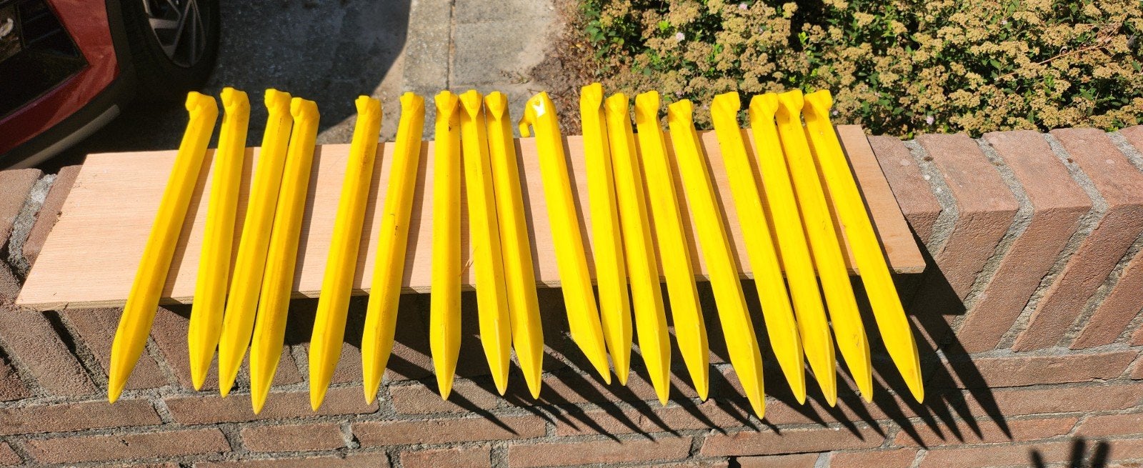 Tentharingen 30cm, Ophalen