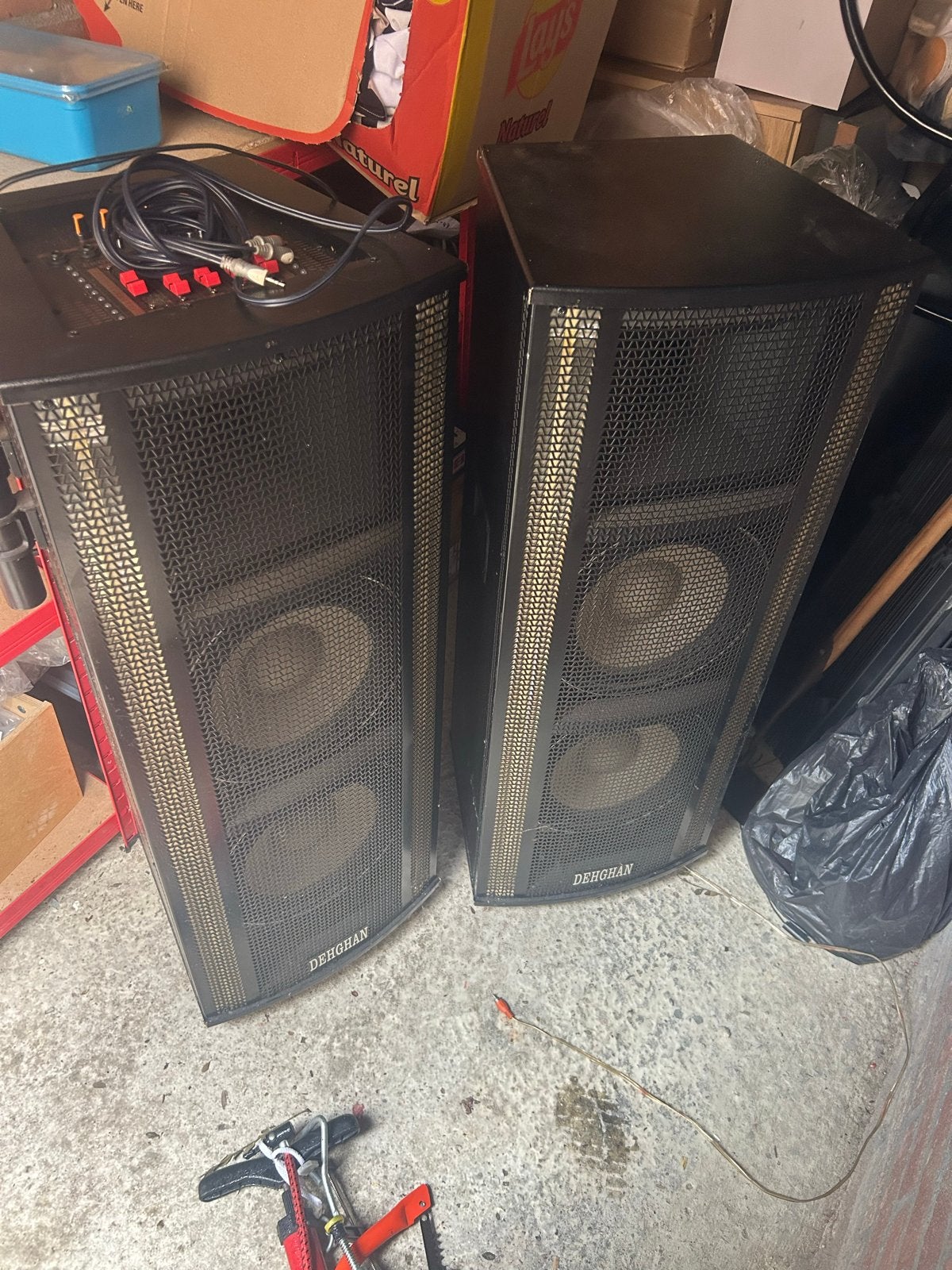 Dehghan Party Speaker Set met Microfoons en Lichteffecten