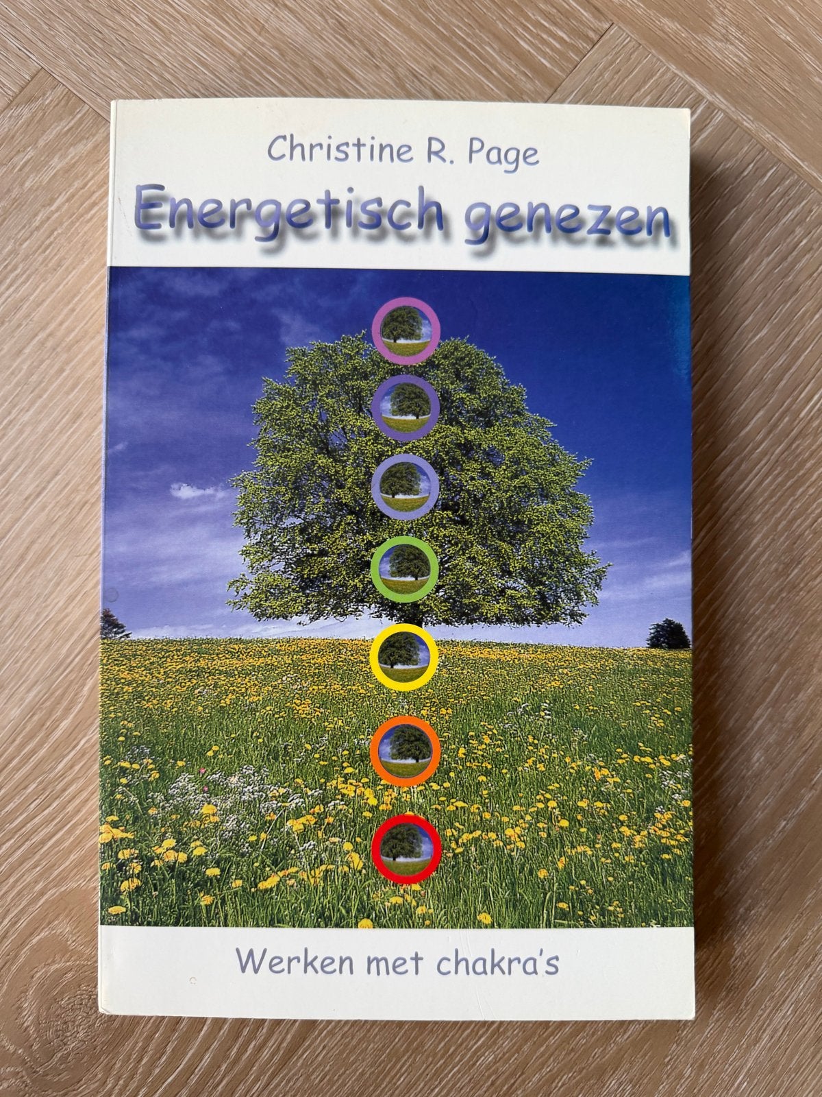 Energetisch genezen: Werken met chakra's - Christine R. Page