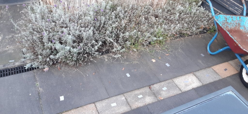 Gratis af te halen tuintegels, Ophalen, Gebruikt, Minder dan 5 m², Beton