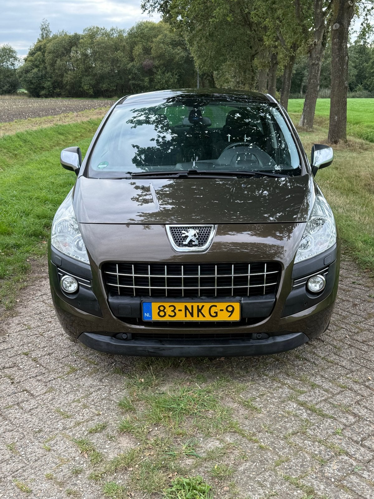 Peugeot 3008 1.6 THP AUT 2010 Bruin, Auto's, Bruin, Origineel Nederlands, Particulier, 1455 kg