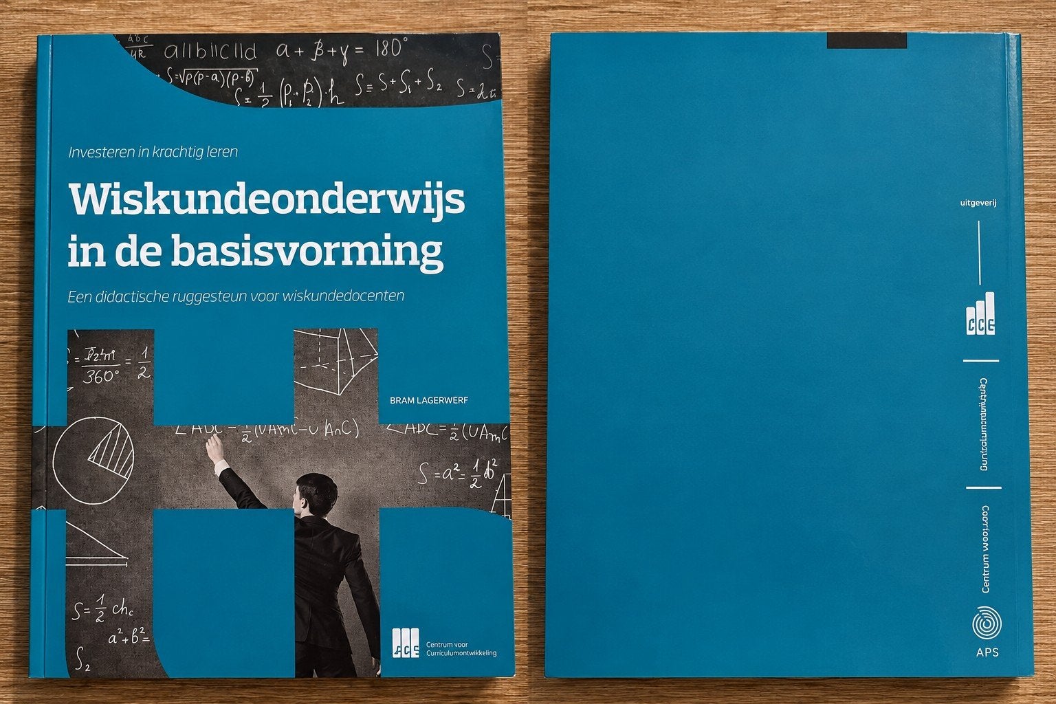 Wiskundeonderwijs in de basisvorming Didactische ruggesteun, Bram Lagerwerf, Niet van toepassing, Nieuw, Ophalen of Verzenden
