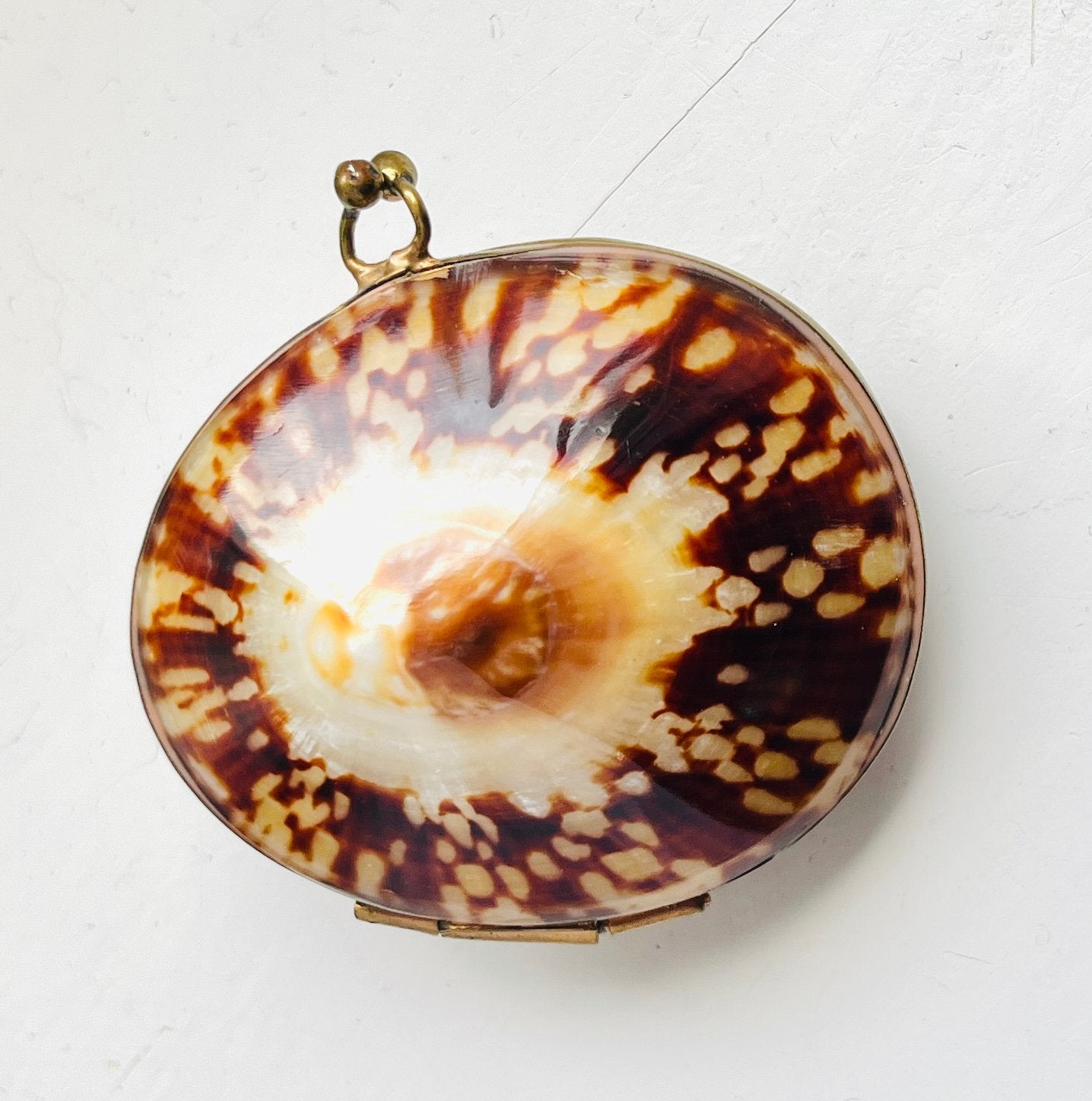 Victoriaanse (19e) Sieradendoosje van Limpet Opihi Schelp, Antiek en Kunst, Ophalen of Verzenden