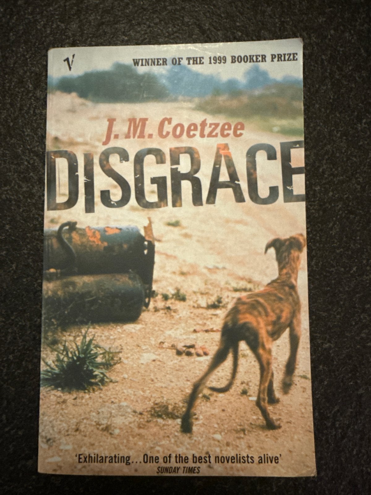Disgrace - J.M. Coetzee (Winnaar Booker Prize 1999), Ophalen of Verzenden, Gelezen, Wereld overig