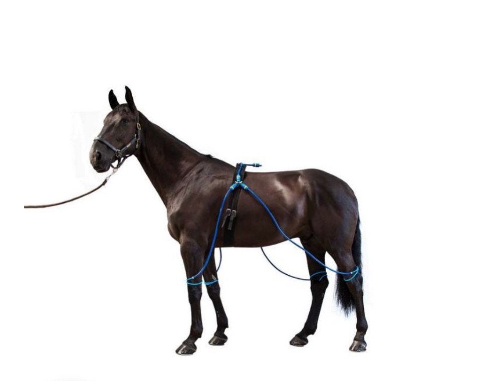 Equine legcooler paard, Ophalen of Verzenden, Zo goed als nieuw