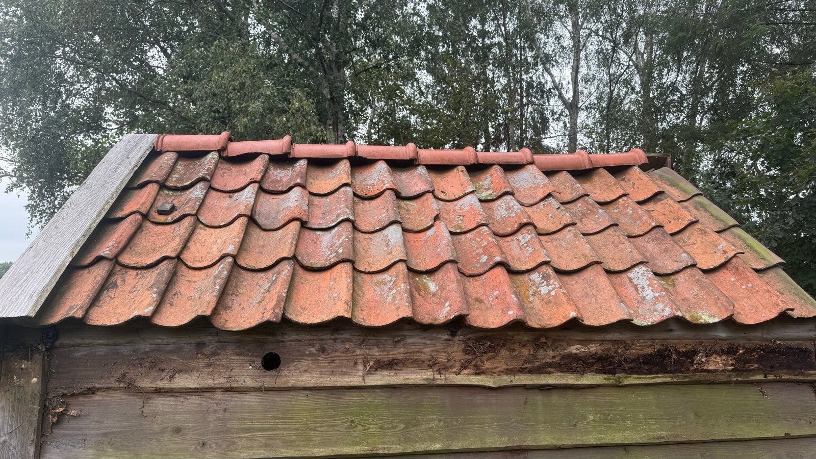 Oud Hollandse Dakpannen met Nokvorsten - 150 stuks, Ophalen, Gebruikt, Steen of Klei, 15 m² of meer