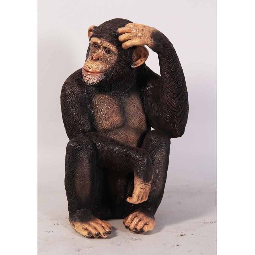 Chimpanzee – Chimpansee beeld Hoogte 70 cm, Ophalen, Nieuw, Overige typen