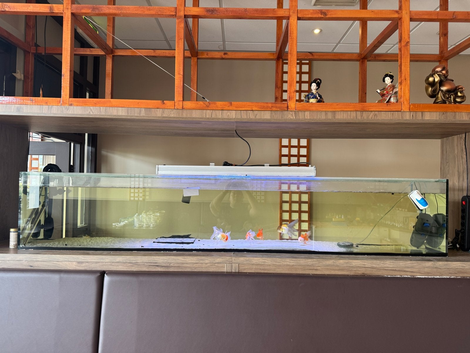 Aquarium 250  45  40 cm (ca. 450 liter), Ophalen, Leeg aquarium