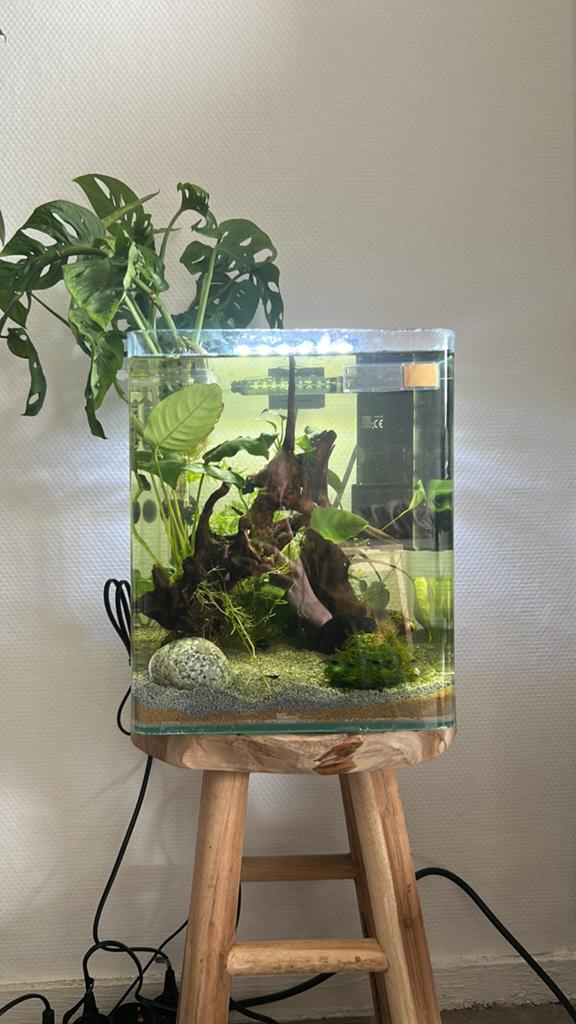 25 liter nanocube, Ophalen, Zo goed als nieuw