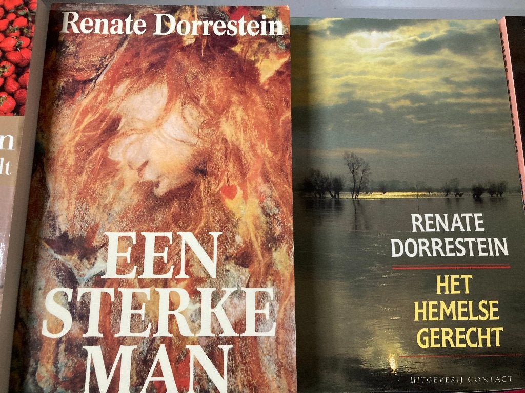 T.K. nog 21 boeken van Renate Dorrestein Zie Actuele lijst, Ophalen of Verzenden, Gelezen, Renate Dorrestein, Nederland