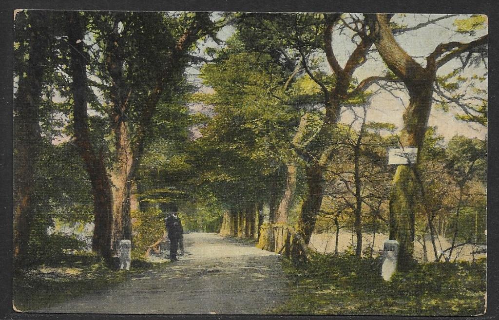 465 Hilversum, Spanderswoud, Ophalen of Verzenden, Voor 1920, Gelopen, Zuid-Holland