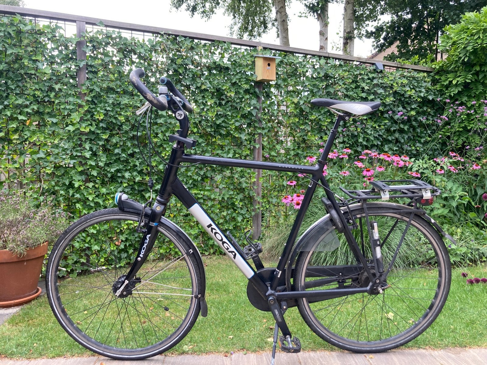 Koga Cubo Ocho herenfiets 63 cm, Ophalen, Gebruikt, Velgrem, Koga Miyata