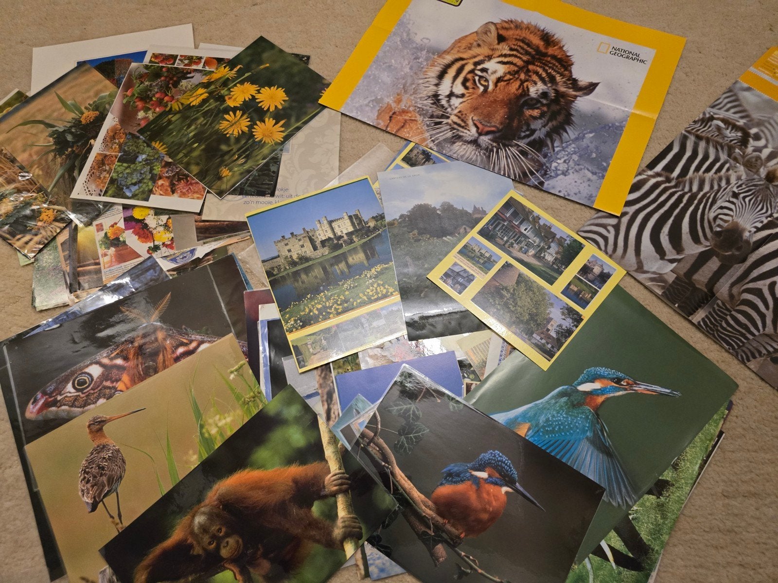Groot pakket educatieve thema platen & posters, Ophalen of Verzenden