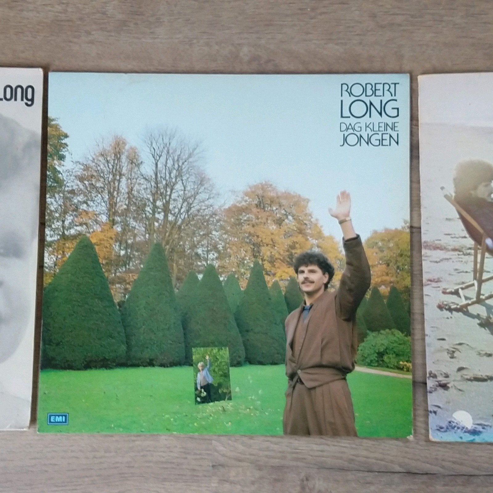 Robert Long - Dag Kleine Jongen LP (1976) nieuwstaat, Cd's en Dvd's, Vinyl | Nederlandstalig, Ophalen, LP, Gebruikt, Pop