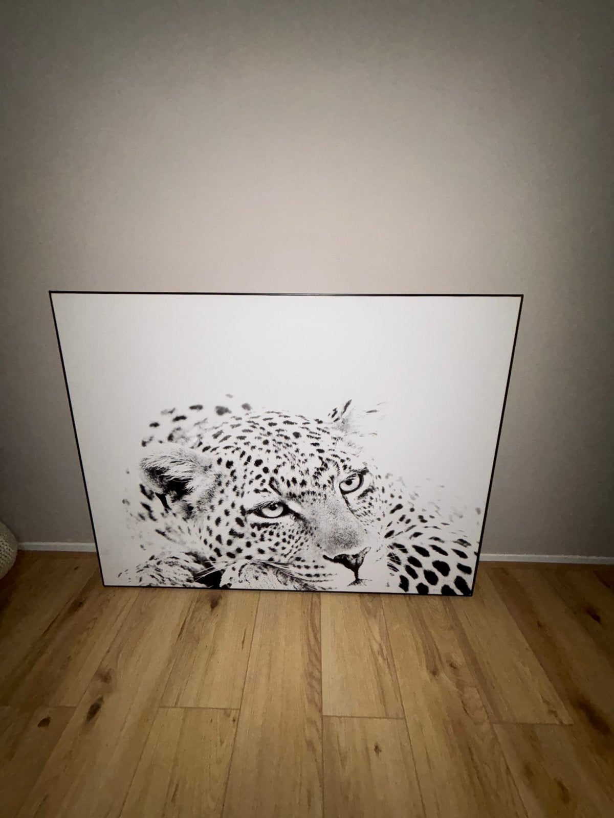 Groot zwart-wit luipaard, Ophalen, Zo goed als nieuw, Foto of Poster
